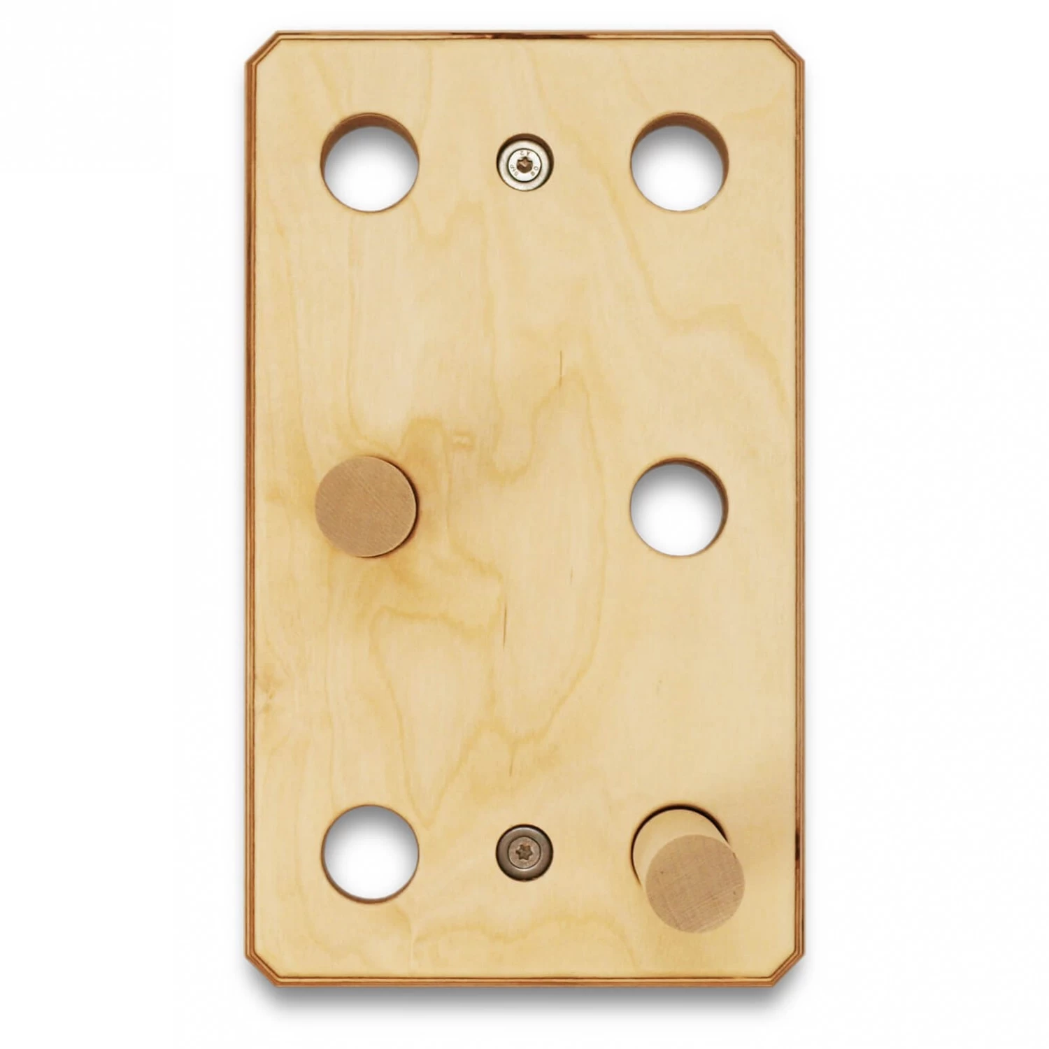 Ant Hill - Trainingsbord 4 Ant Hill - Trainingsbord - Image 2