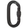 Black Diamond Oval Locker Carabiner - Schroefkarabiner 1 Black Diamond Oval Locker Carabiner - Schroefkarabiner -Rotsklimmen Promotiewinkel black diamond oval locker carabiner schroefkarabiner