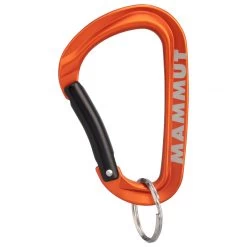 Mammut Mini Carabiner Workhorse - Materiaalkarabiner 9 Mammut Mini Carabiner Workhorse - Materiaalkarabiner -Rotsklimmen Promotiewinkel mammut mammut mini carabiner workhorse materiaalkarabiner 1